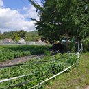 마유산로 이미지