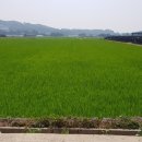 황금탑공인중개사사무소 이미지