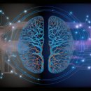 단지이것 이미지