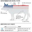 조영수농장 이미지