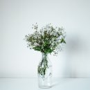 빅볼랜드 이미지