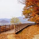 신촌삼거리 이미지