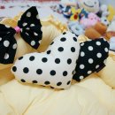 키튼하우스 이미지