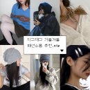 오무시 | 지그재그 가을 스카프부터 잇템 한보따리 (오무수히, 팁씨, 블루씨티 외)