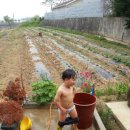 준우농장 이미지