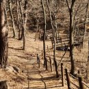 진밭골산림욕장 이미지