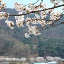 송해보건지소 네이버블로그