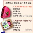 진짜고기다