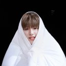 트루러브 이미지