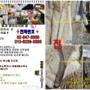 대성세탁 이미지