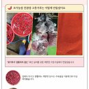 순정농장 이미지