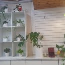 잘해줄개 이미지