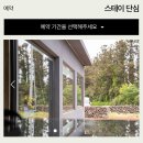 단심스테이 이미지
