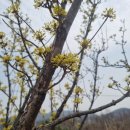 부론한의원 이미지