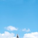 강아지와 고양이 이미지