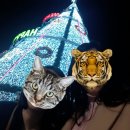 구청길 | [부산]겨울 여행 - 해운대 빛 축제(기간/시간/주차)