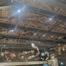 명성전파사 이미지