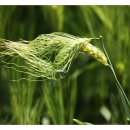 보리미용실 이미지