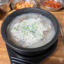 성호식품 | 영월 다슬기 맛집 추천 동강다슬기 주차 정보 위치