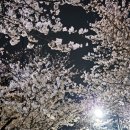 반계공원 이미지