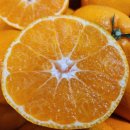 세일농장 이미지