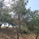 광명농원 이미지