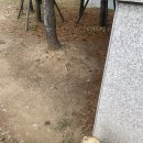 대월놀이공원 이미지