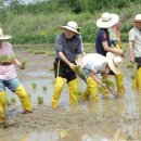 현대택배 이미지