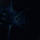 스타트랙 이미지