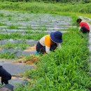 성도 농장 이미지