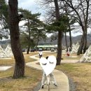 블랙마켓 | [충북 괴산 여행] 초등 아이들과 함께한 ‘청명호텔’ 투숙 후기! (온수풀/조식/애견동반/가족 여행...