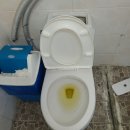 서산수당구장 이미지