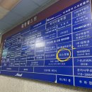 건스앤펍 네이버블로그