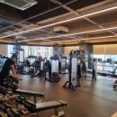 포시즌 스크린 골프 이미지