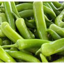 농부의꿈영농조합법인 | 6시내고향 건강을 선물하는 당조고추