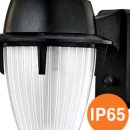 히포상사 이미지