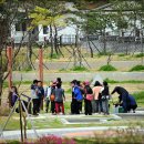 대왕오리 이미지