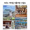 어린왕자민박 | 제주도 4박5일 여행 4•5일차 | 그럼외도·달리센트·귤메달하우스 방문기