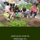 구름과자