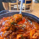 고향촌 | 대전 유성 봉명동 닭도리탕 맛집 고향촌