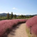 신소양체육공원화장실(주차장) 이미지