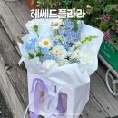 헤쎄드 | 창원꽃집 도계동 헤쎄드플라라 남친꽃선물로 굿