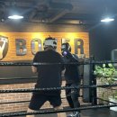 복서(BOXER) 삼성센터 이미지