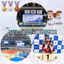 KTI청옥태권도 이미지