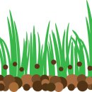 예인농장 | 상토 상토와 배양토 차이 상토란 가격 흙 2호 50l