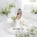튤립더드레스 | [라피네웨딩] 라크마스튜디오 촬영드레스 실크오간자 튤립 후라이샷 후기