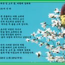 그리운 임 소식 꽃, 바람에 실려와 이미지