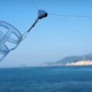 원줄농장 이미지