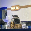 현대프라임스포츠 이미지