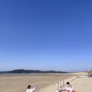 담주할머니경로식당 | 2026 태안 튤립축제 - 태안아이랑가볼만한곳 추천 (내돈내산 찐후기) 주차, 가격 정보